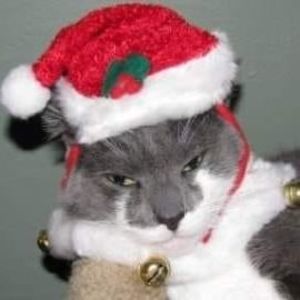 Meet your Posher, Alena